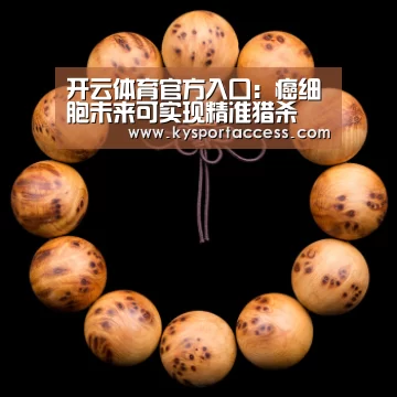 开云体育官方入口:癌细胞未来可实现精准猎杀(图2) KAIYUN SPORTS