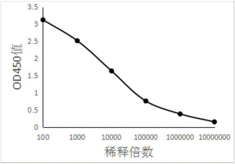 开云体育官方入口